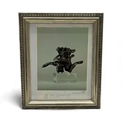 Willem de Kooning, Untitled (Gemini 404), 1972, Cast pewter sculpture (image shown is a print of the sculpture) Publisher: Gemini G.E.L., Los Angeles Signature: Signed in pencil by the artist in the lower margin.