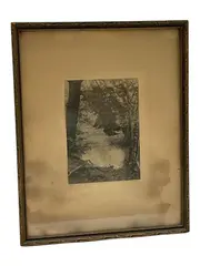 Untitled by William Hamilton Gibson, Antique lithograph / photogravure on paper Inscriptions: Hand-signed "Gibson" in pencil (lower right); Titled "Shady Poo, offered Jun 2026