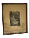 Untitled by William Hamilton Gibson, Antique lithograph / photogravure on paper Inscriptions: Hand-signed "Gibson" in pencil (lower right); Titled "Shady Poo, offered Jun 2026