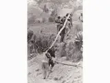 Sebastião Salgado, Uomini a lavoro, Perù 1978