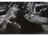 Sergei Vasiliev, Sauna in un villaggio russo 1981