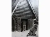 Sergei Vasiliev, Sauna in un villaggio russo 1981