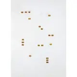Riccardo Gusmaroli, Milano 1963 / Condominio, 2010