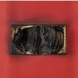 Bernard Aubertin, Fontenay aux Roses 1934 - 2015 / Livre Brûlé, 2006