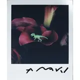 Nobuyoshi Araki, Tokyo 1940 / Flower