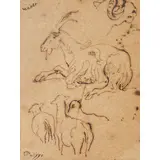 Giuseppe Palizzi, Lanciano, 1812 - Passy, 1888 / Studio di animali / Firmato Palizzi in basso a sinistra