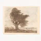 Vesele, 1904 - Kiev, 1997 / Albero e cavalli / Firmato M Deregus in basso a destra by Mykhaylo Gordyevich Deregus, Incisione su carta, offered Jul 2021