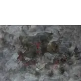 Roma 1975 / Segnali di fumo by Alessandro Cannistrà, mixed media on paper, offered Oct 2021