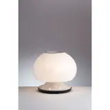 A Table Lamp By G. Sarfatti, Senza titolo