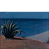 Walter Lazzaro, Roma 1914 - Milano 1989 / Agave in Calabria, 1954