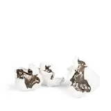 Pasadena 1963 / Companions, 2015 by Pae White, Ceramica dipinta, offered Oct 2022