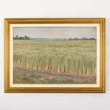Olexandr Grigorovich Maksimenko, Vilkhovatka, 1916 - Kiev, 2011 / Campo di grano, oil on canvas