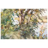 Olexa Oleksievich Shovkunenko, Kherson, 1884 - Kiev, 1974 / Il fiume nel bosco / Firmato A Shovcunenko in basso a destra