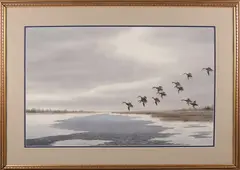 Joseph Day Knap, Black Ducks Coming In, Watercolor on Paper