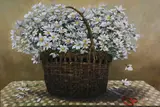 Roy Bailey, Table Top Basket Of Daisies, Oil on Board