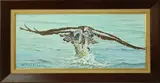 John Hutchinson, Fish Hawk at Work #2