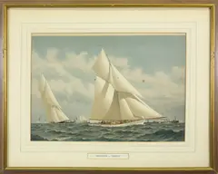 Frederick S. Cozzens, Volunteer and Thistle, Lithograph