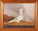 Portrait of the Champion Racing Pigeon Faithful Lady by Edward Henry Windred, circa 1935, Oil on Canvas, offered Aug 2023