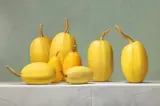 Janet Rickus, Squashes, Oil on Board