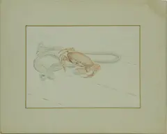 Honor’s Crab by Cindy Lydon, Watercolor on Paper, offered Apr 2022