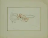 Cindy Lydon, Honor’s Crab, Watercolor on Paper
