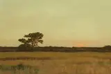 Robert Stark Jr., Nantucket Sunset with Lone Tree and Green Fields,