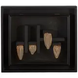 Santiago "Chago" Armando, La cripta de Daly G encondonada en el tiempo (from the series El cajón, el encajonamiento la chansom du condom), 1964, wood, glass and condom collage on wood