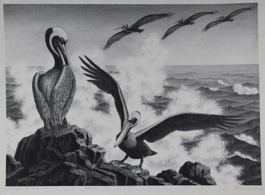 Alan Horton Crane, Untitled, Lithograph