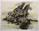 Mark King, Zebra