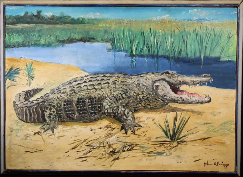 Alligator by John R Briggs, Oil on Masonite, sold Apr 2019