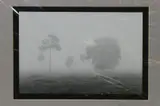 Clyde Butcher, Misty Morning