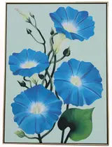 Lowell Nesbitt, XXIV - Morning Glories - '77