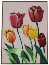 Lowell Nesbitt, VI -Tulipa Hybrida - '76