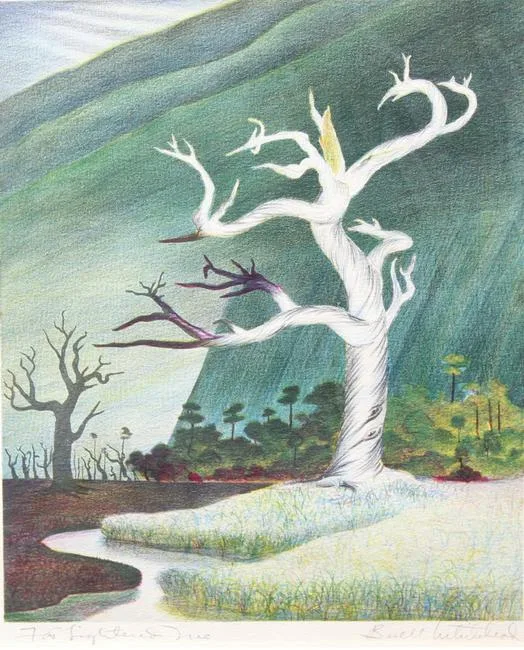 Fat Lightened Tree by Buell Whitehead, Lithograph, offered Dec 2019