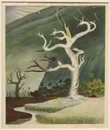 Buell Whitehead, Fat Lightered Tree