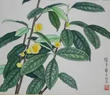 Ren Yu, Yellow Camellias
