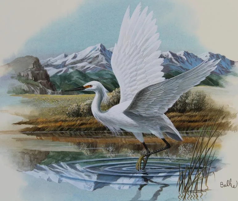 Utah Snowy Egret by Don Balke, Watercolor on Illustration Board, sold Mar 2020