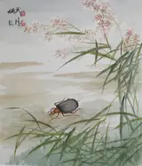 Yan Bingwu, Bombardier Beetle