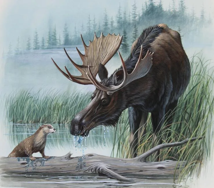Don Balke, Moose, Watercolor on Illustration Board