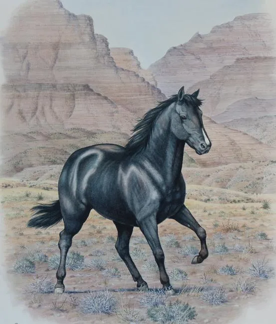 Quarter Horse by Peter Barrett, Watercolor on Illustration Board, sold Mar 2020