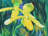 Ren Yu, Paphiopedilum Henrietta Orchid