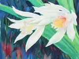Ren Yu, Thunia alba Orchid