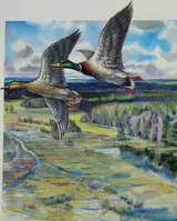 Ivan Kozlov, 1990 USSR Duck Conservation Stamp - Mallard