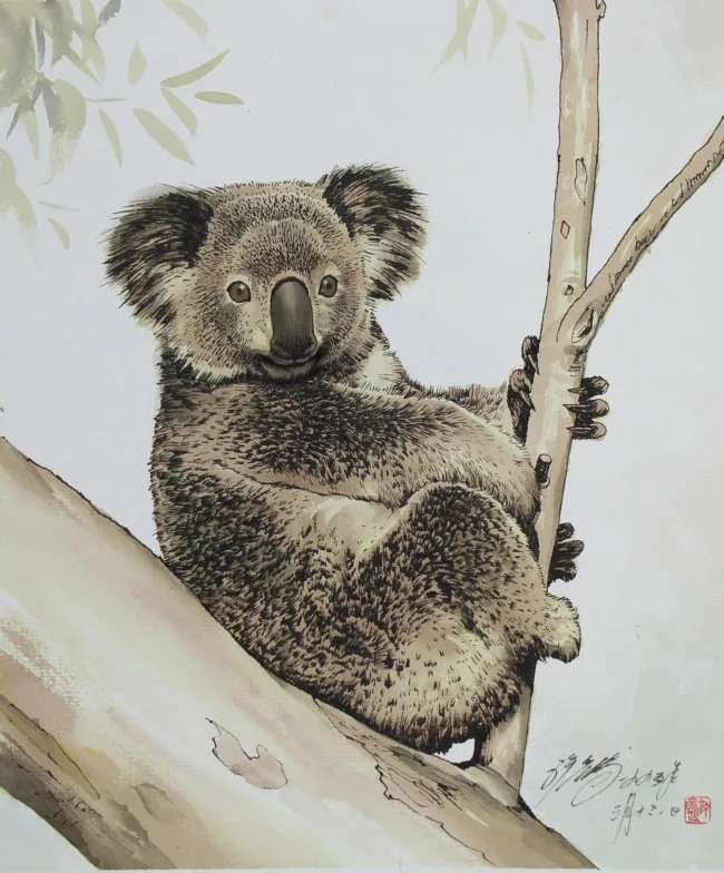 Xu Yanbo, Koala Propped in Branch, Watercolor
