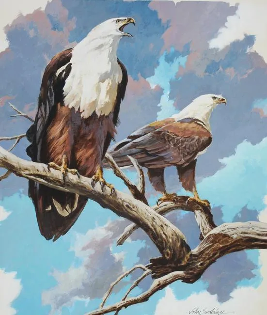 African Fish Eagle by John Swatsley, Oil on Illustration Board, sold Mar 2020