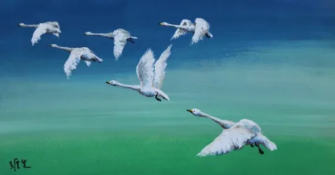 Wan Weisheng, Six Swans Flying in Formation, Watercolor