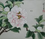 Ren Yu, Peony Camellia