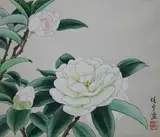Ren Yu, White Camellias