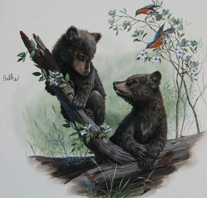 Bear Cubs by Don Balke, Watercolor on Illustration Board, sold Apr 2020