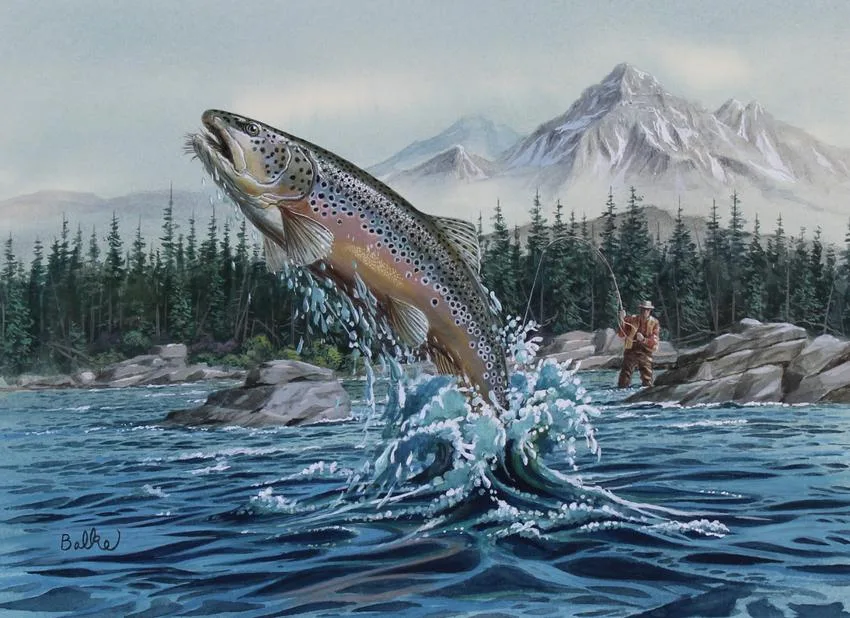 Brown Trout by Don Balke, Watercolor on Illustration Board, sold Apr 2020